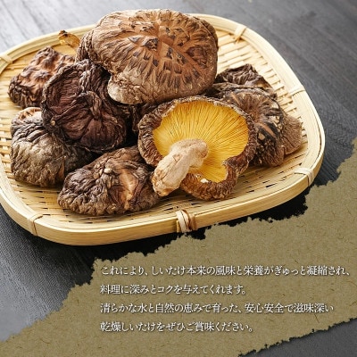 羽黒産 乾燥しいたけ12g×5(計60g)[K-710]