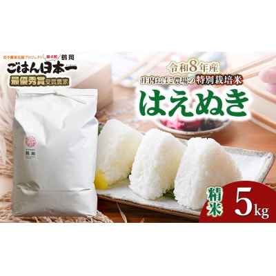【令和8年産】庄内おばこ農場の特別栽培米はえぬき　精米5kg　[K-837]