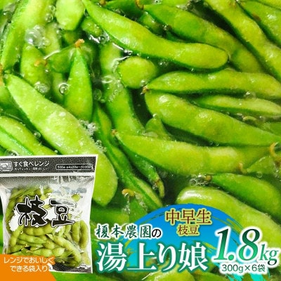 yߘa8Ns\z|{_̒} 薺 1.8kg(300g×6)[K-834]