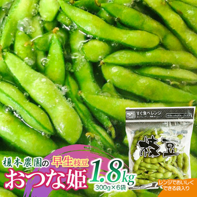 yߘa8Ns\z|{_̑} ȕP 1.8kg(300g×6)[K-834]