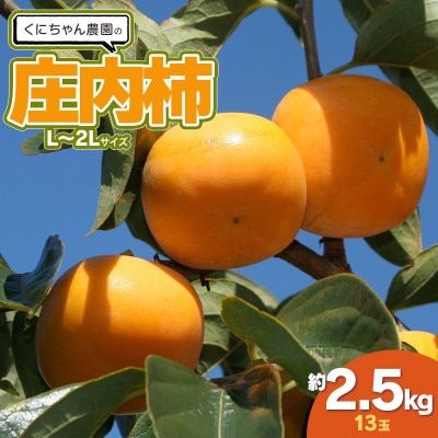 くにちゃん農園の庄内柿 L～2Lサイズ 約2.5kg(13玉)[K-722]