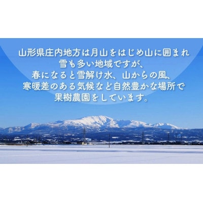 【令和9年発送】干し柿　250g×4パック(1kg)　くにちゃん農園　K-937