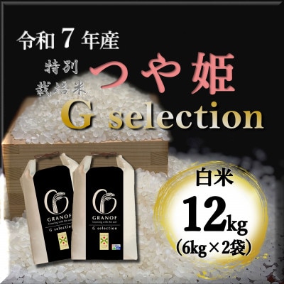 【令和7年産】山形県鶴岡産 Gセレクション つや姫 白米 12kg