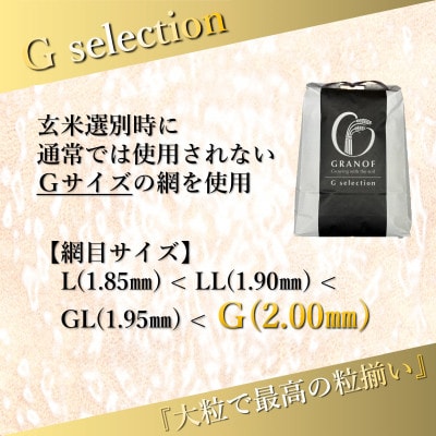 【令和7年産】山形県鶴岡産 Gセレクション つや姫 白米 12kg