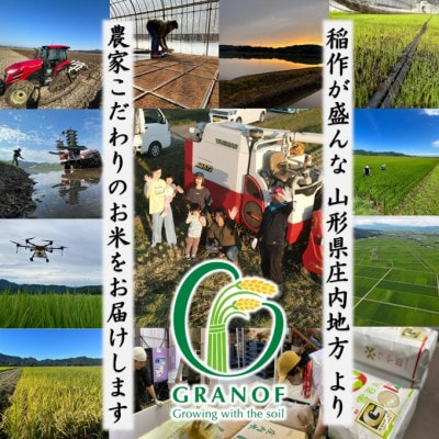 【令和8年産新米】山形県産 つや姫 Gセレクション 白米 6kg
