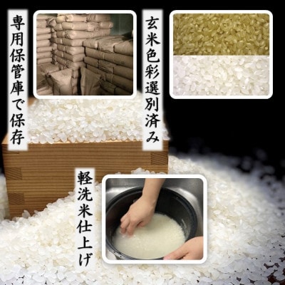 【令和8年産新米】山形県産 つや姫 Gセレクション 白米 12kg