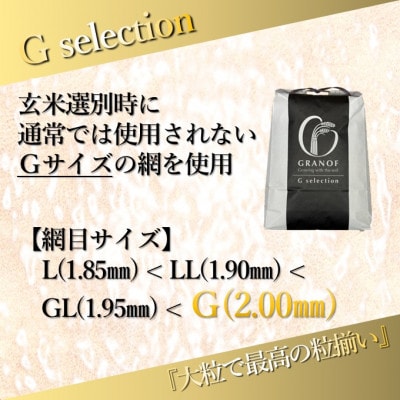 【令和8年産新米】山形県産 雪若丸 Gセレクション 白米 6kg