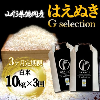 【発送月固定定期便】[10月より発送予定]山形県産 はえぬき Gセレクション 白米 10kg全3回
