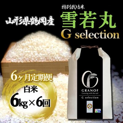 【毎月定期便】山形県産 雪若丸 Gセレクション 白米 6kg全6回
