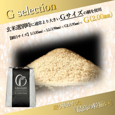 【毎月定期便】山形県産 雪若丸 Gセレクション 白米 6kg全6回