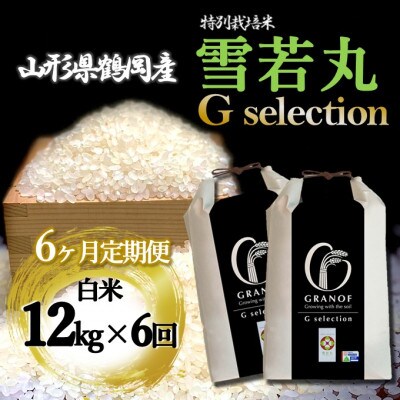 【毎月定期便】山形県産 雪若丸 Gセレクション 白米 12kg全6回