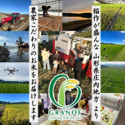 【毎月定期便】山形県産 雪若丸 Gセレクション 白米 12kg全6回