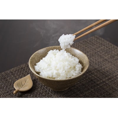 庄内米 パックライス(200g×24P)レンジで温めるだけ!パックご飯　災害備蓄用に最適!