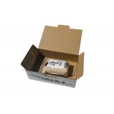 山形県産 令和7年産 つや姫 白米 1kg