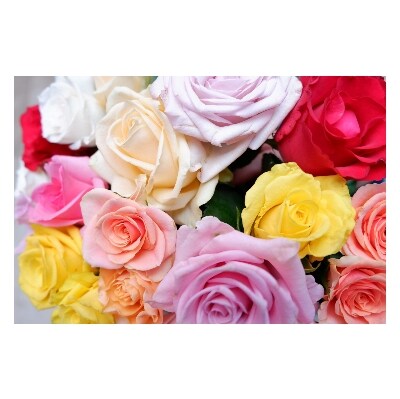 バラ専門生産者直送 バラの花束 色とりどり40本 お礼品詳細 ふるさと納税なら さとふる