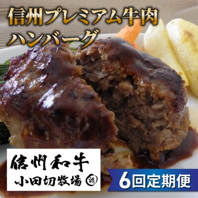 【6回定期便】信州プレミアム牛小田切牧場ハンバーグ(150g)×4個セット