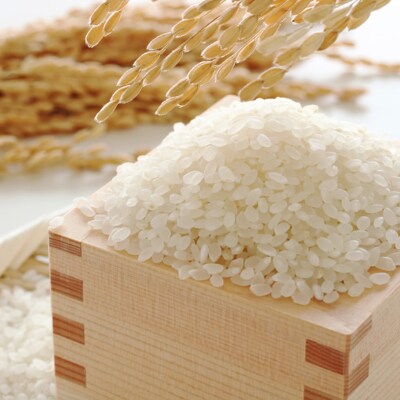 果物屋さんが選んだ米「夢つくし」5kg(吉富町)