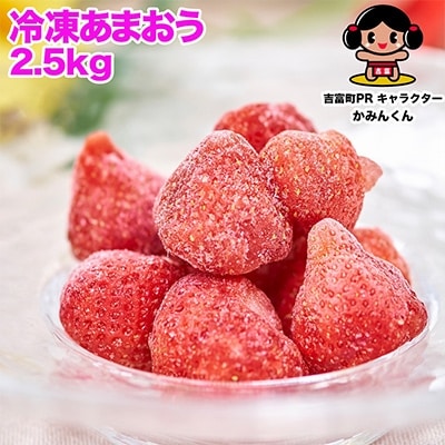 【2024年12月中旬より順次発送】冷凍あまおう苺500g×5袋(吉富町)