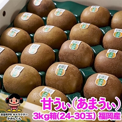 福岡限定!ブランドキウイ「甘うぃ(あまうぃ)」約3kg箱(24-30玉)(吉富町)
