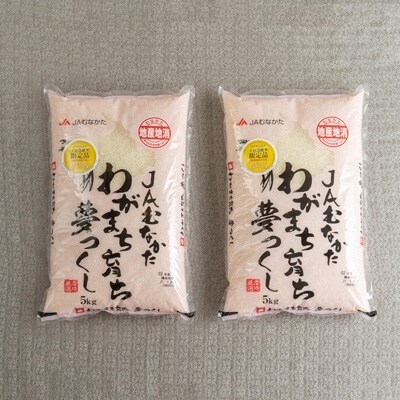 【吉富】定期便 果物屋さんが選んだ米「夢つくし」10kg全6回