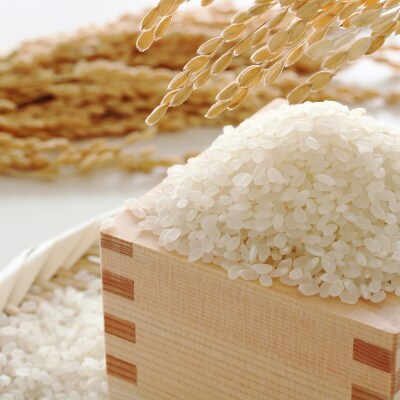 2021年7月発送開始『定期便』果物屋さんの米　夢つくし5kg(吉富町)全6回