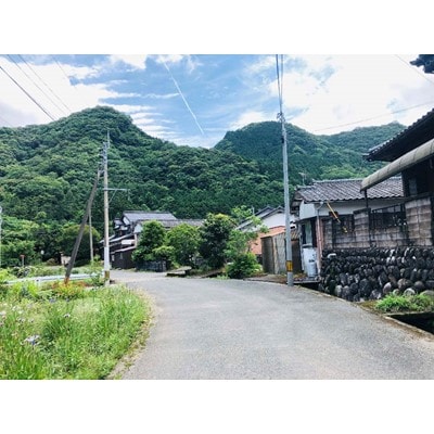 【サービス提供地域:福岡県吉富町】空き家管理サービス【12ヶ月】1ヶ月1回作業