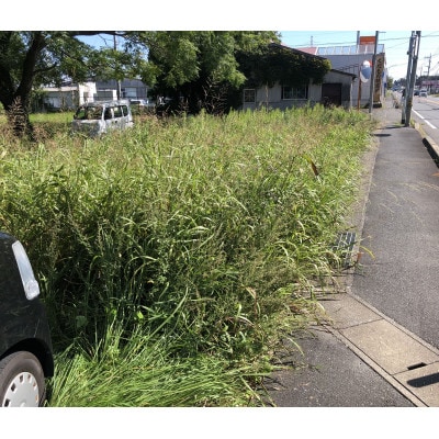 休耕田・耕作放棄地草刈り作業　100平方メートル【サービス提供地域:福岡県吉富町】