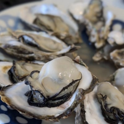 豊前海一粒かき　約5kg【南水産】