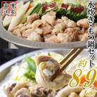 もつ鍋&水炊きセット(約8～9人前)(吉富町)