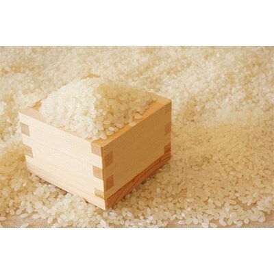 【令和5年産】福岡県産ブランド米「元気つくし」白米5kg(吉富町)