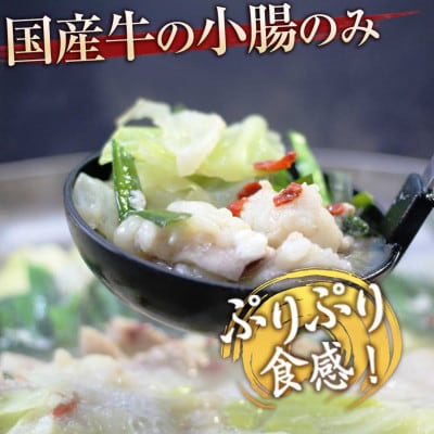 あごだしで味わう、博多もつ鍋。薬味、〆のちゃんぽん麺、レシピ付き(吉富町)