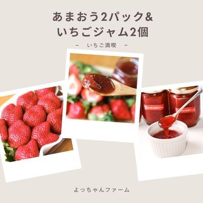 【先行受付】いちご満喫　あまおう2パック&あまおうジャム2瓶のセット　1月より順次発送(吉富町)