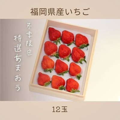 【先行受付】特選あまおう12玉　12月より順次発送(吉富町)