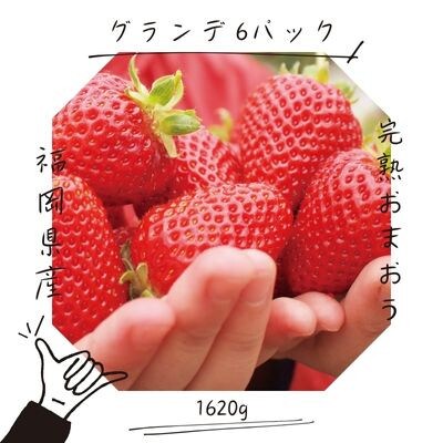 【先行受付】あまおうグランデサイズ　3玉～15玉(6パック)1月より順次発送(吉富町)