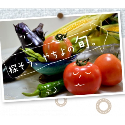 千葉県八千代市 農産物直売所クラフト直送 旬の野菜セット