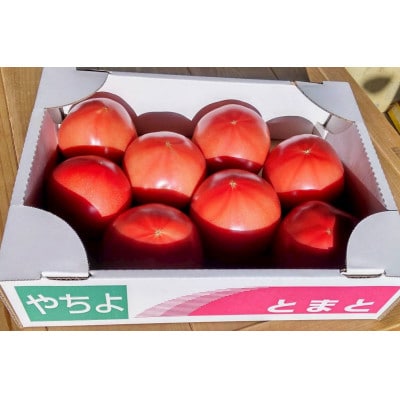 旬春 桃太郎トマト2kg 道の駅やちよ