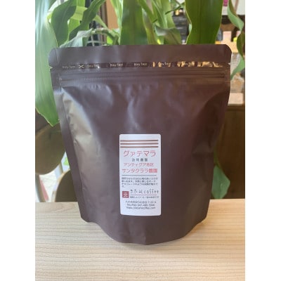 きたみcoffee 深煎り好きコーヒー・シングル2種セット 230g x 2袋　合計460g (粉)