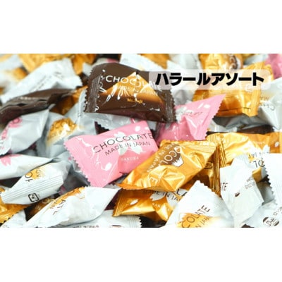 BP-9【ハラール認証】チョコレートアソートセット1kg以上(計1150g)
