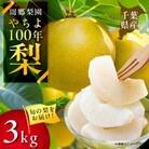 2025年発送先行受付 周郷梨園のやちよ100年梨(3kg)