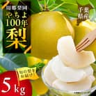 2025年発送先行受付 周郷梨園のやちよ100年梨(5kg)