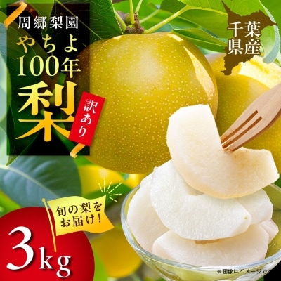 2025年発送先行受付 周郷梨園のやちよ100年梨家庭用(3kg)