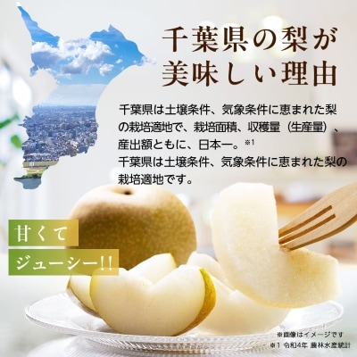 2025年発送先行受付 周郷梨園のやちよ100年梨家庭用(3kg)