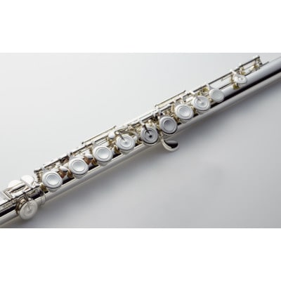 Flute《管体・座金・ポスト・リング銀製Ag925》フルート　エレガンテ【F-ED925/E】1台