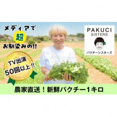 『PAKUCI SISTERS』の新鮮パクチー 1kg