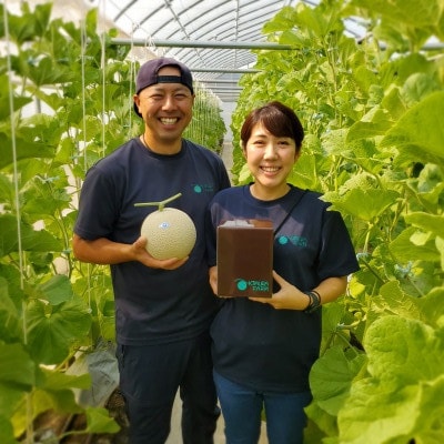 令和7年分きむら農園の特級マスクメロン1玉【化粧箱入り】