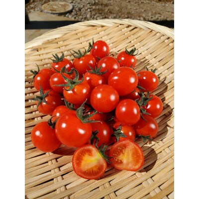 トマト好きにピッタリ!高濃度ミニトマト バラ入れ　約1.0kg