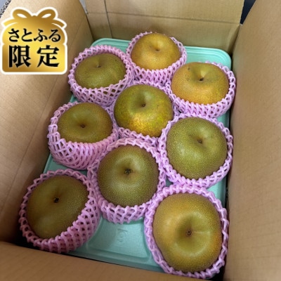 【さとふる限定】梨　品種おまかせ　3kg