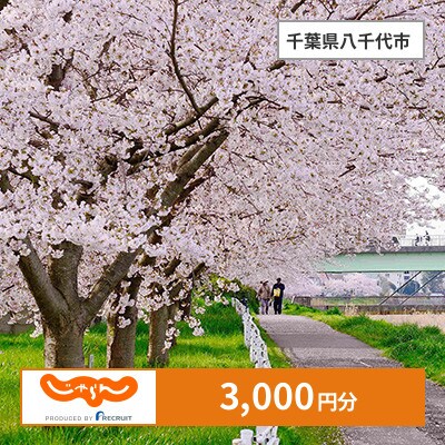 【じゃらんふるさと納税クーポン】 千葉県八千代市でつかえる3,000円 クーポン
