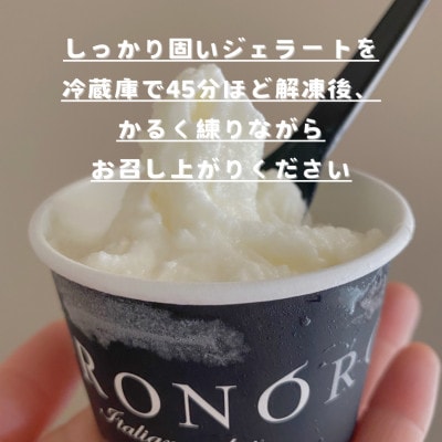 イタリアンジェラート RONO店長おまかせジェラート16個SET