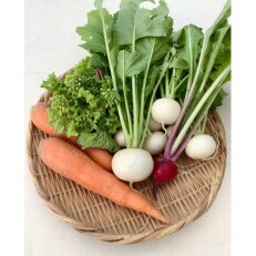 季節の野菜セットSサイズ　 | ふるさと納税のお礼品